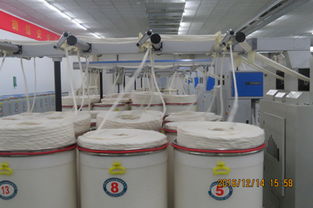 漢麻產(chǎn)業(yè)化關(guān)鍵技術(shù)及應(yīng)用推廣活動(dòng)成功舉行，助力產(chǎn)業(yè)高質(zhì)量發(fā)展